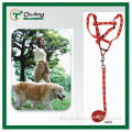 Red Footprints dog collar and leash
